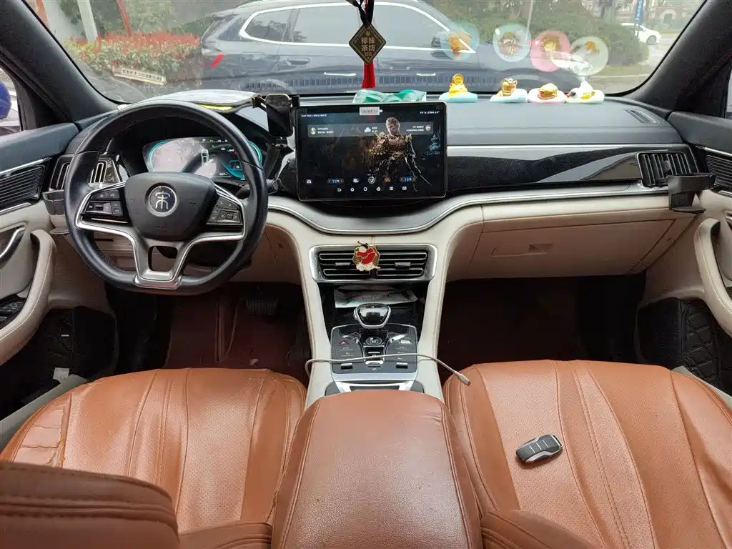 BYD PLUS New Energy 2023 — фото 13