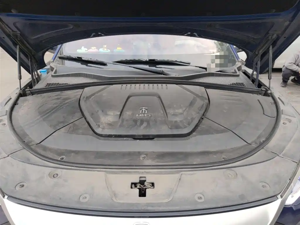 BYD PLUS New Energy 2023 — фото 11