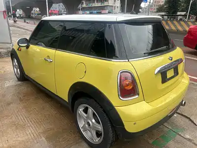 MINI MINI 2010