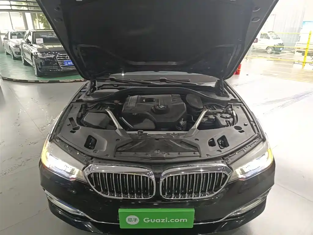 BMW 5 Series 2019 — фото 20