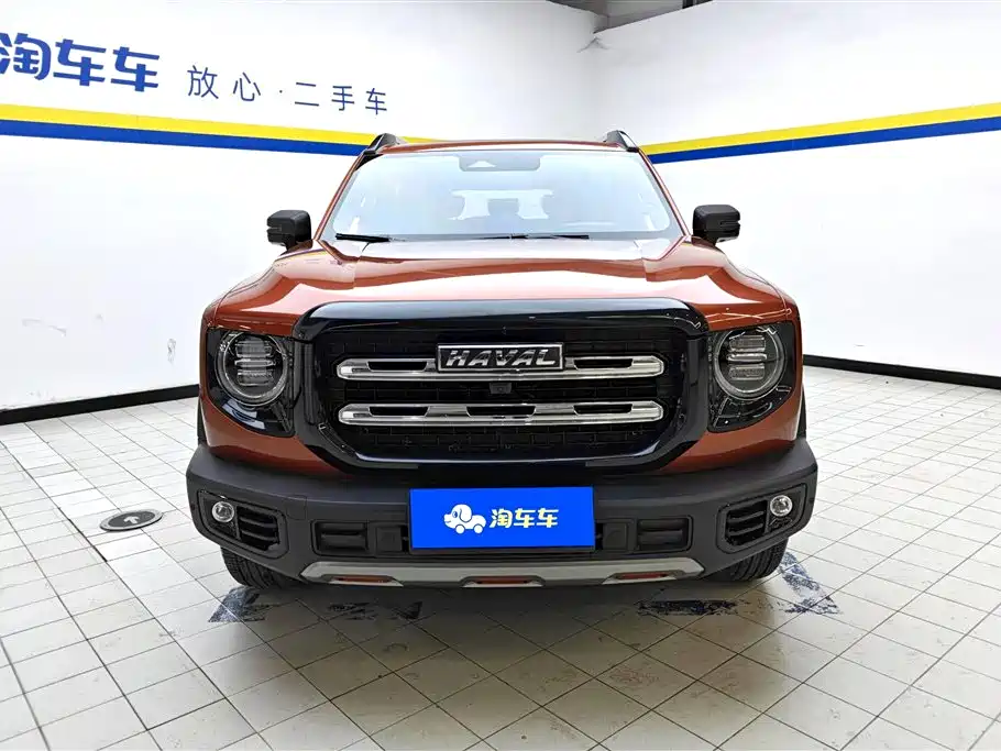 Haval Big Dog 2021 — фото 2