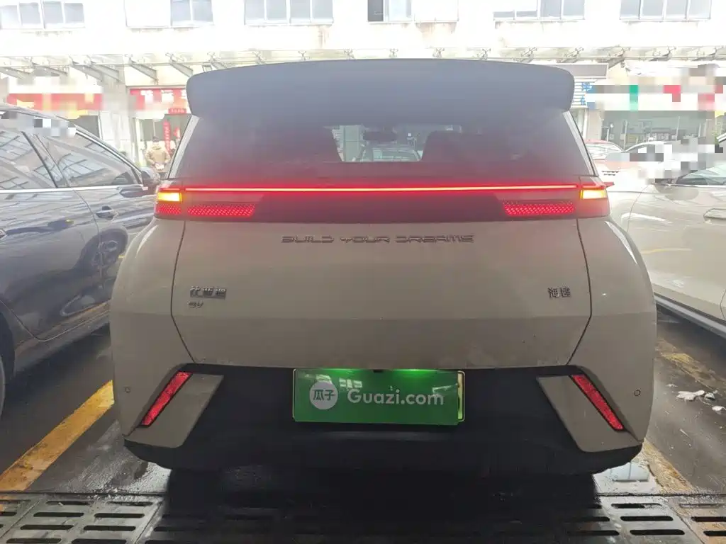 BYD Seagull 2024