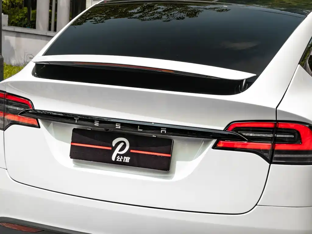 Tesla Model X 2023 — фото 9