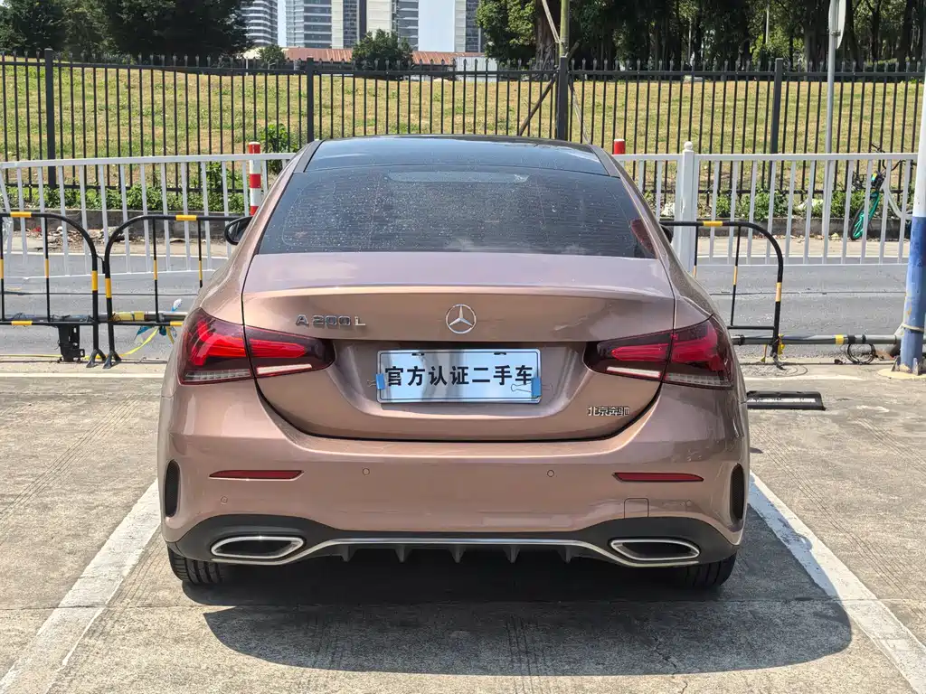 Mercedes-Benz A-Class 2020 — фото 19