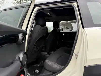 MINI MINI 2019