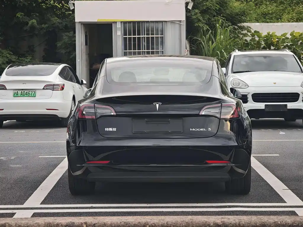Tesla Model 3 2021 — фото 6