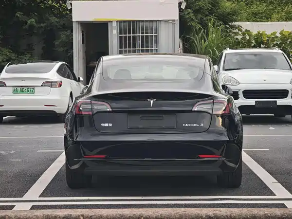 Tesla Model 3 2021