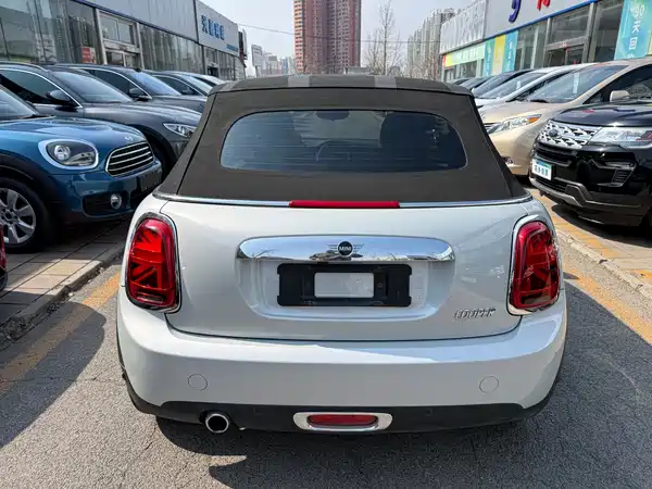 MINI MINI 2019