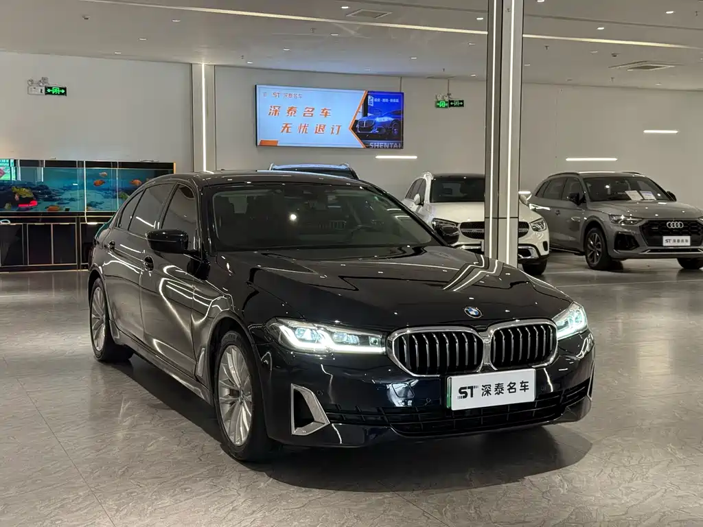 BMW 5 Series New Energy 2021 — фото 1