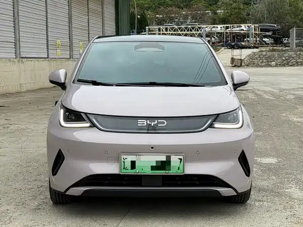 BYD Dolphin 2025