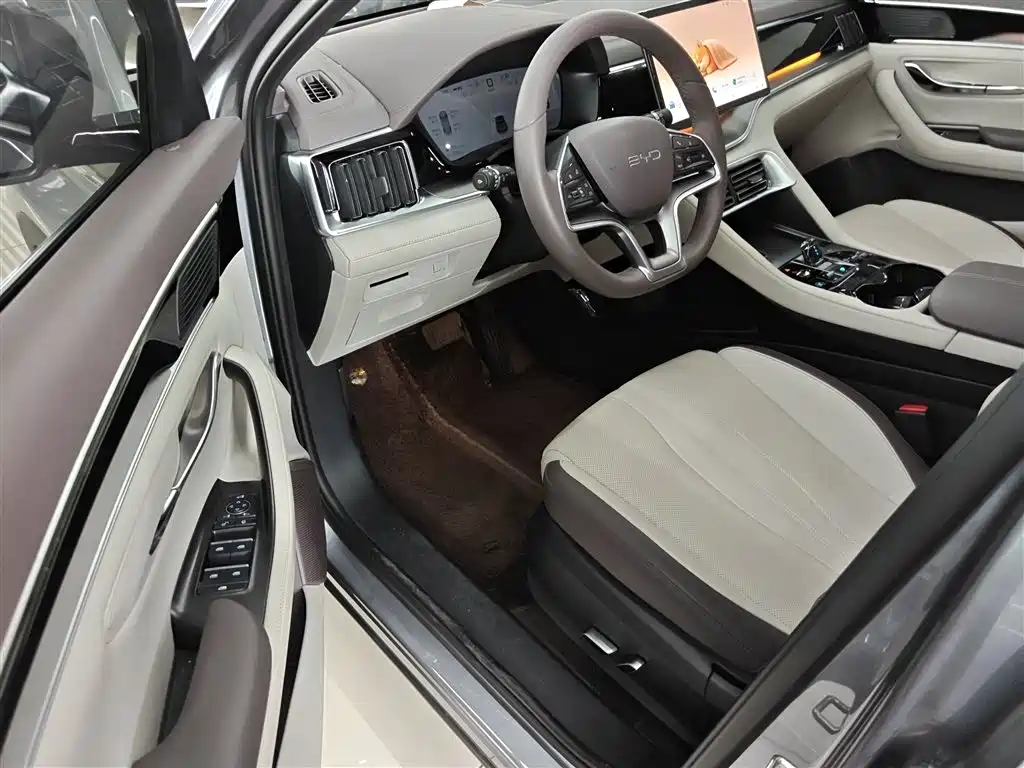 BYD PLUS New Energy 2024 — фото 16