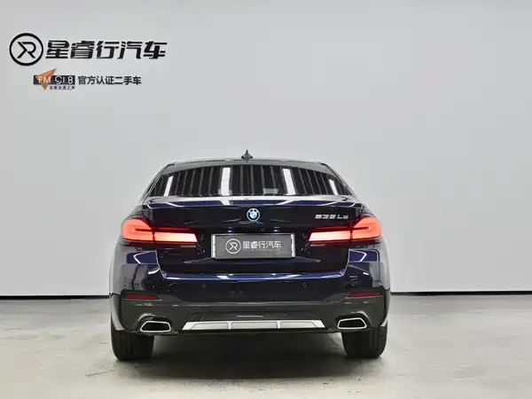 BMW 5 Series New Energy 2022