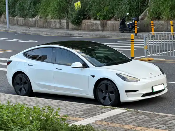Tesla Model 3 2021