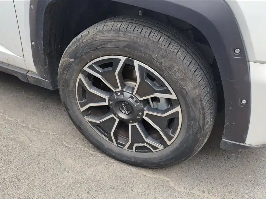 Haval Dargo PLUS EV 2023 — фото 6