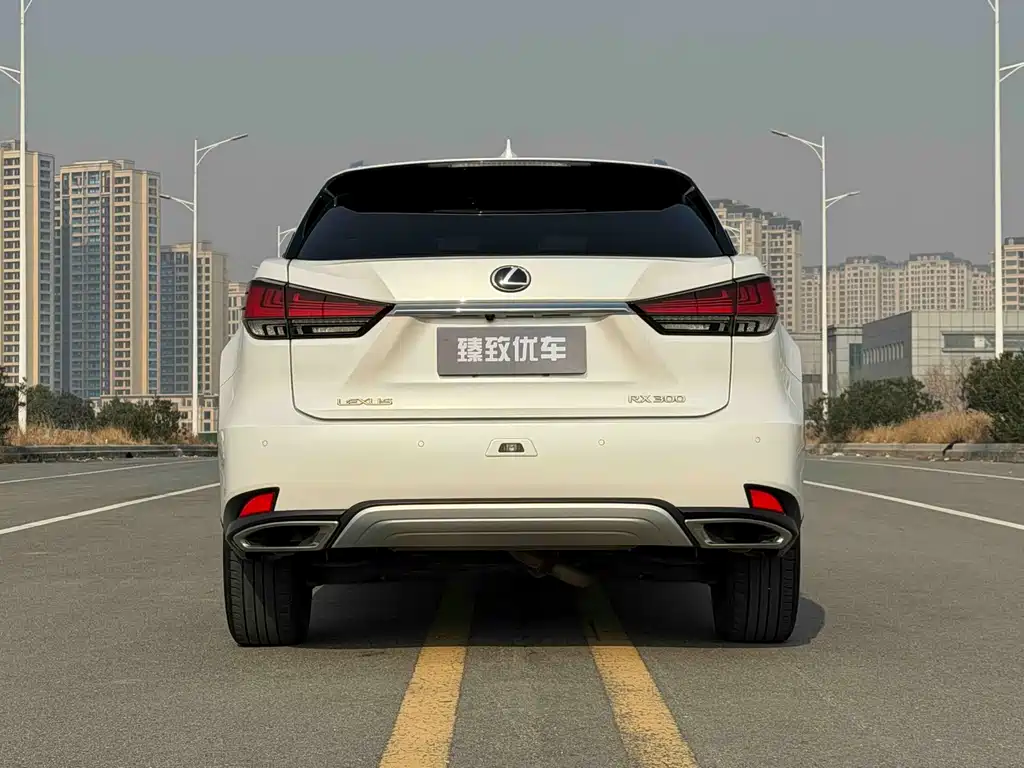 Lexus RX 2020 — фото 9