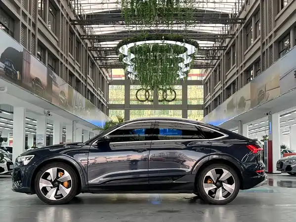 Audi e-tron 2021