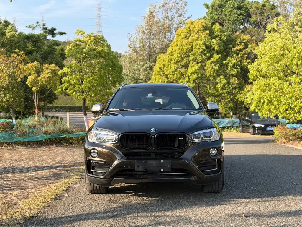 BMW X6 2018 — фото 2
