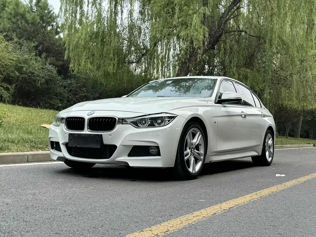 BMW 3 Series 2017 — фото 1