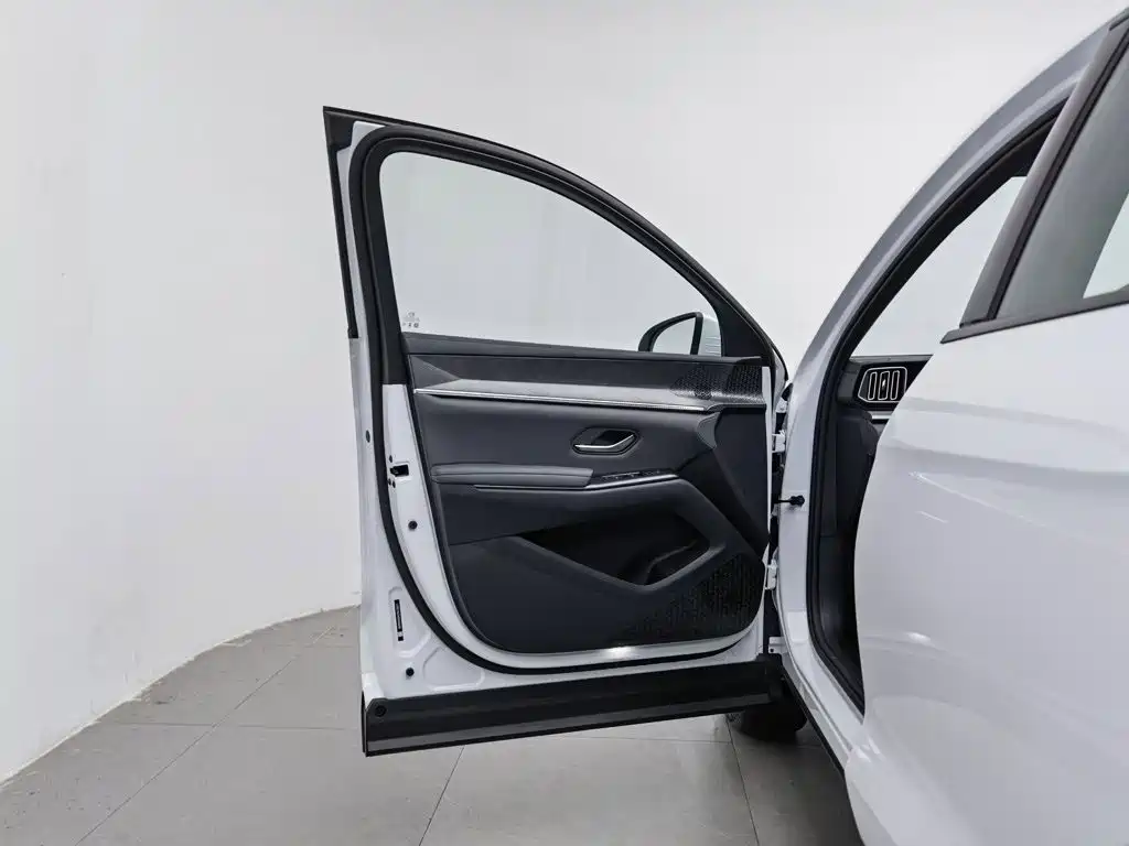 BYD Song Pro New Energy 2025 — фото 8