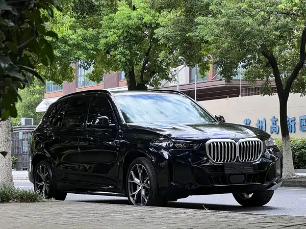 BMW X5 2024