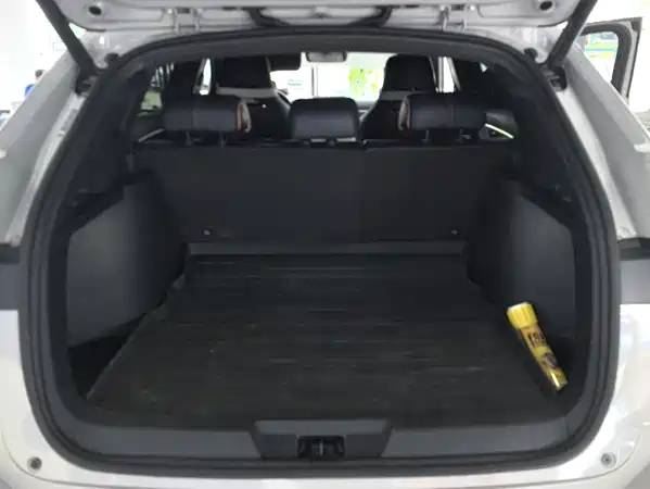 BYD Song PLUS New Energy 2024