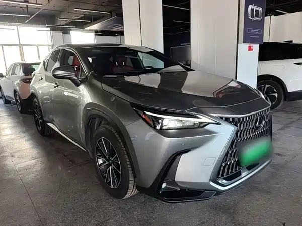 Lexus NX New Energy 2024
