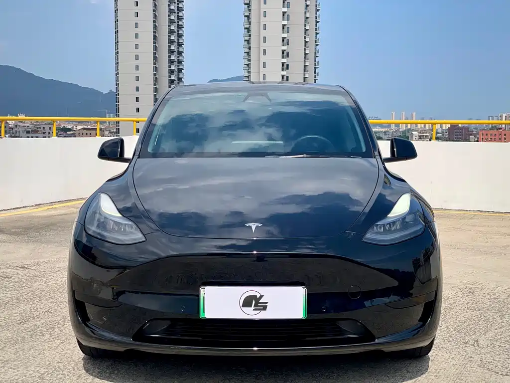 Tesla Model Y 2023 — фото 2