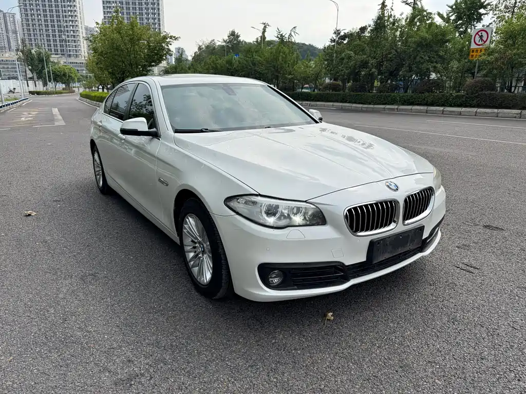 BMW 5 Series 2014