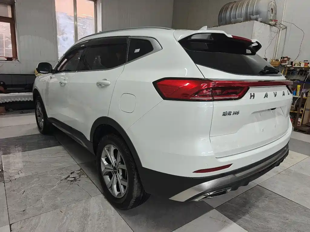 Haval H6 2021 — фото 12