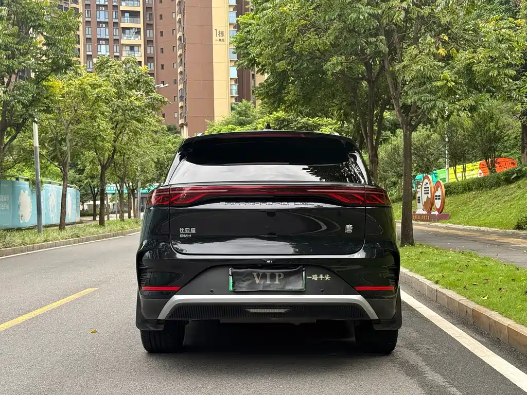 BYD Tang New Energy 2025 — фото 11