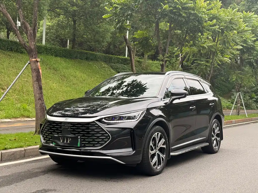 BYD Tang New Energy 2025 — фото 1