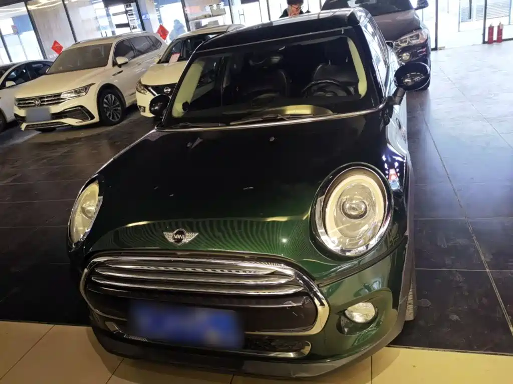 MINI MINI 2015