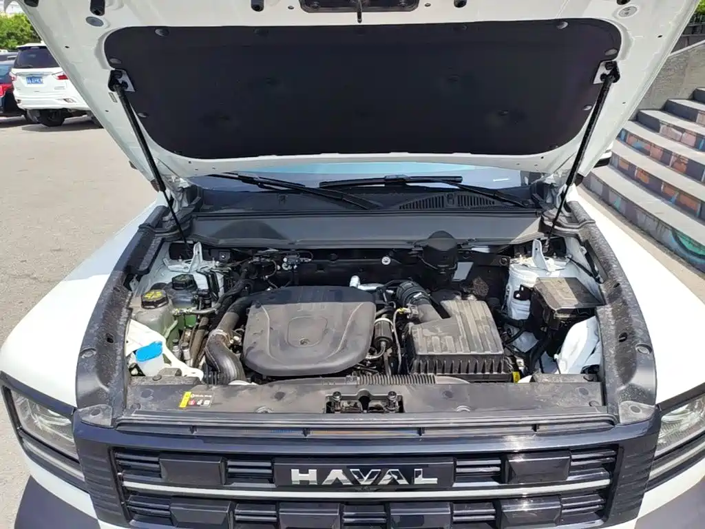 Haval Raptors New Energy 2025 — фото 20