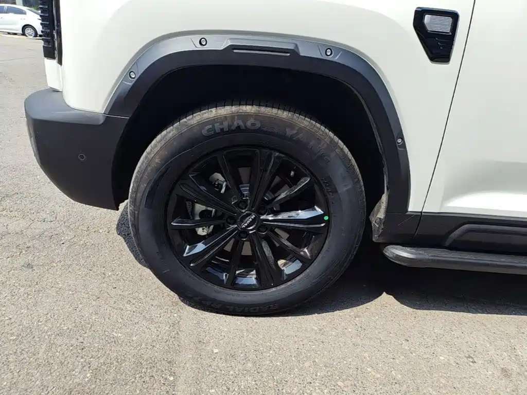 Haval Raptors New Energy 2025 — фото 23