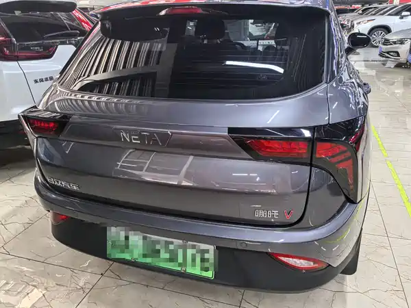 Neta V 2022