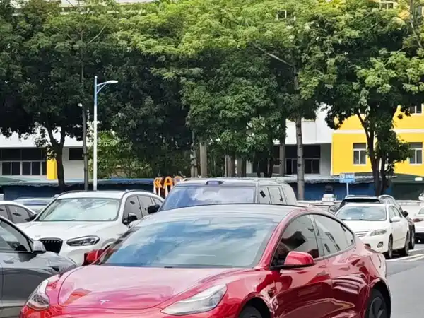 Tesla Model 3 2019