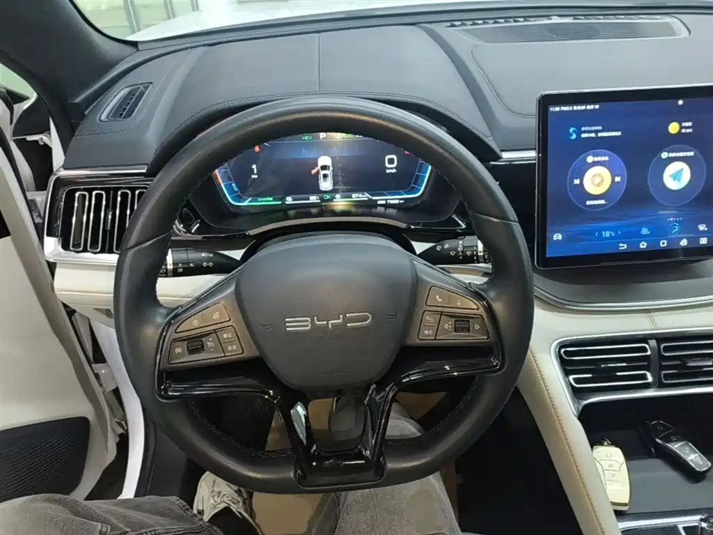 BYD PLUS New Energy 2024 — фото 10