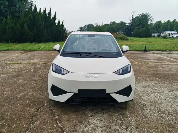BYD Seagull 2026