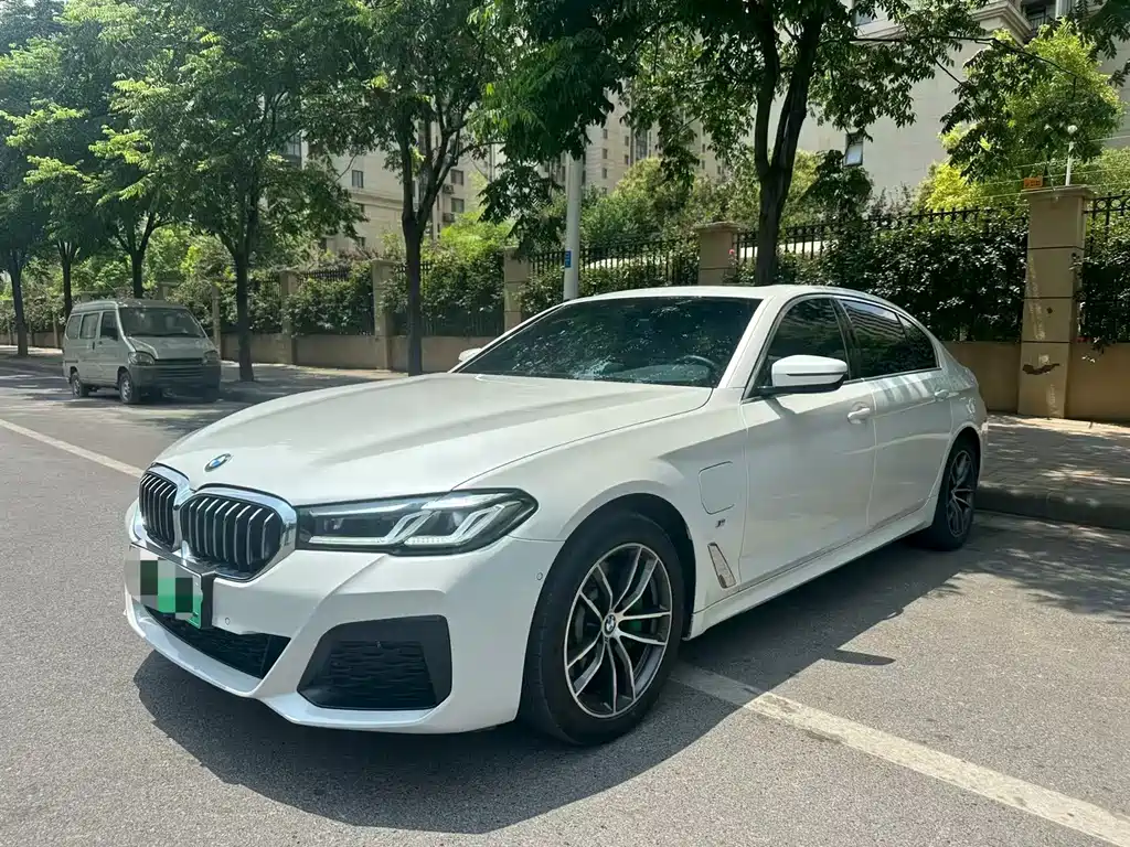 BMW 5 Series New Energy 2020