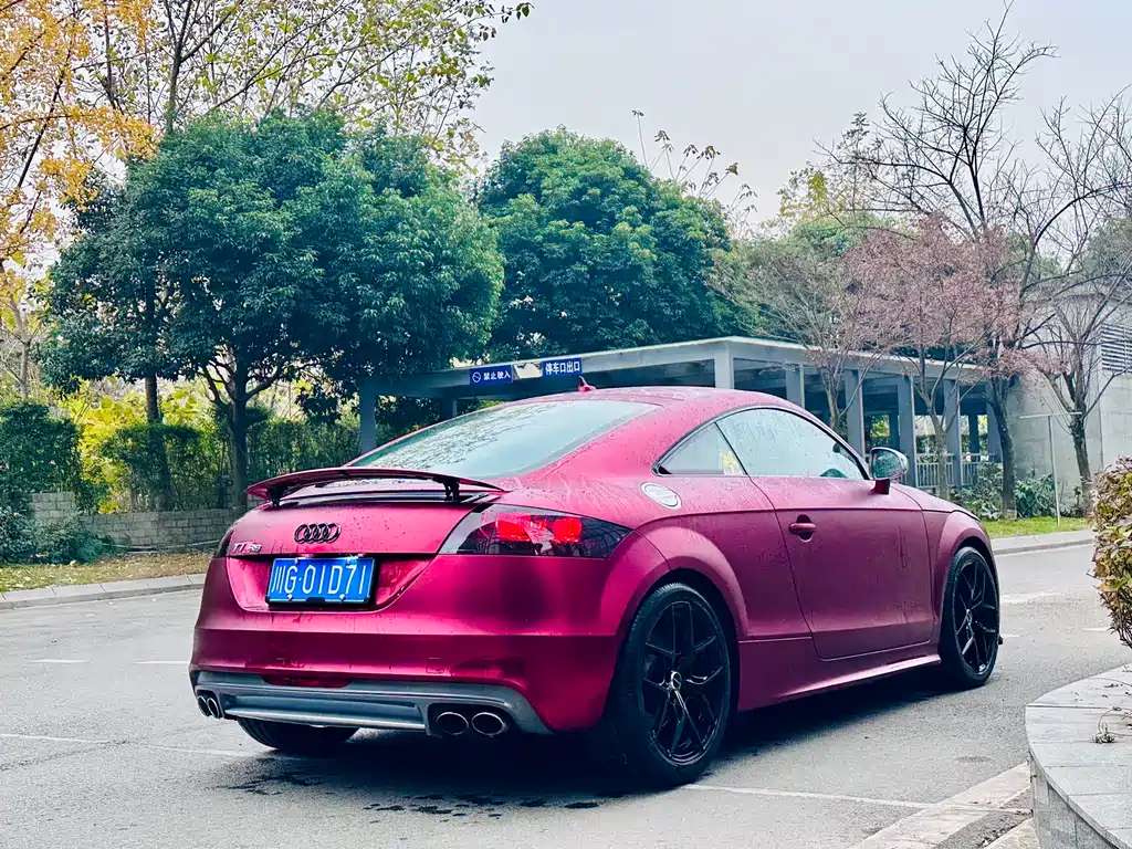 Audi TTS 2013