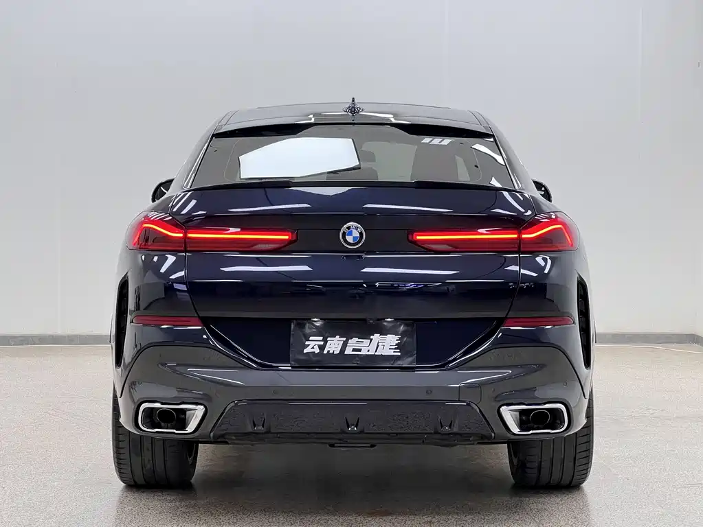 BMW X6 2021 — фото 6