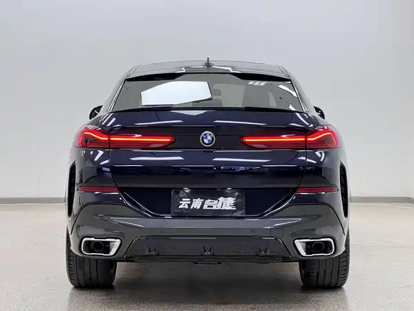 BMW X6 2021