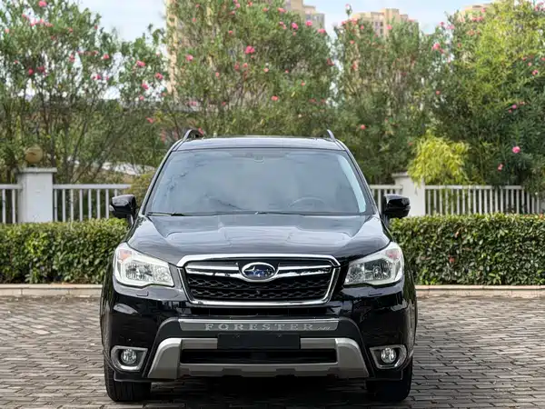 Subaru Forester 2013