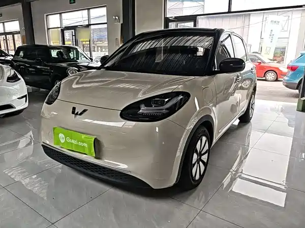 Wuling Bingo 2024