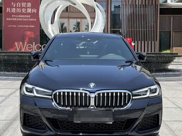 BMW 5 Series New Energy 2021