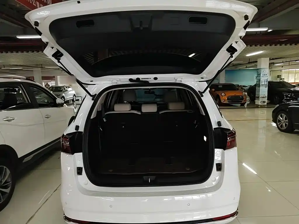 BYD Song MAX New Energy 2023 — фото 19