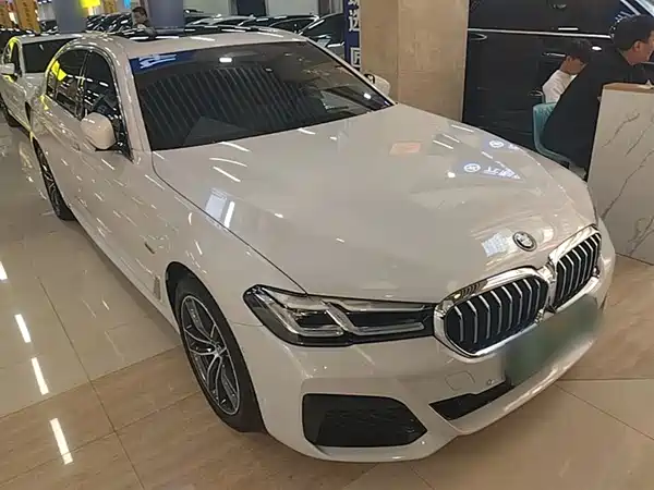 BMW 5 Series New Energy 2022
