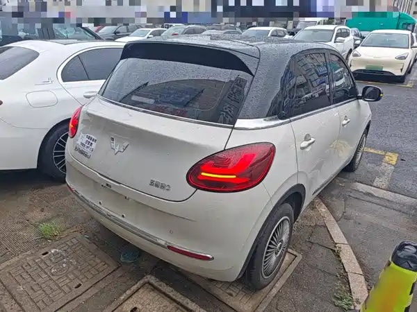 Wuling Bingo 2024