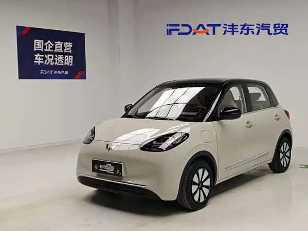 Wuling Bingo 2024