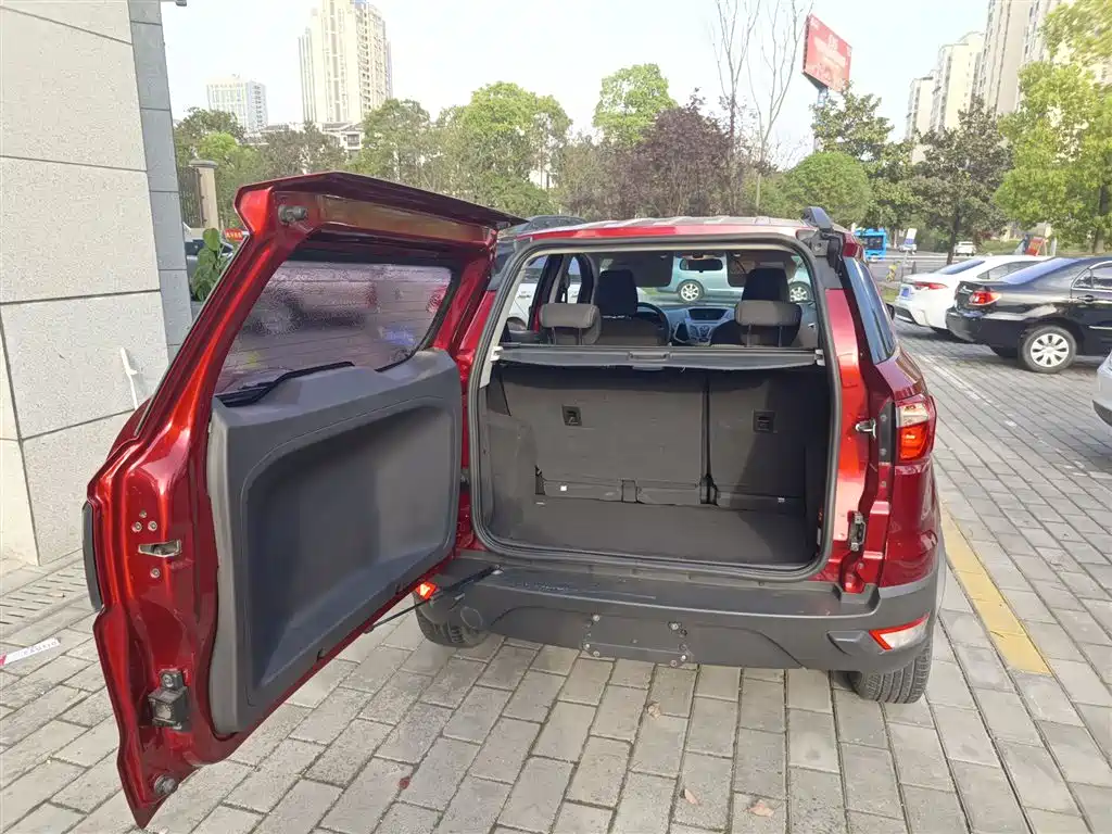Ford Ecosport 2017 — фото 15